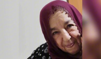 Mardin'de çıkan tartışmada 68 yaşındaki yatalak eşini öldüren şüpheli gözaltında