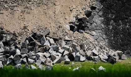 Japonya'da 7.1 büyüklüğündeki depremde hayatını kaybedenlerin sayısı 38'e yükseldi