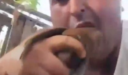 Kuşları öldürüp sanal medyada paylaşan şüpheli tutuklandı