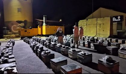 TIR'da arı kovanlarına gizlenmiş 91 kilo uyuşturucu ele geçirildi; 3 gözaltı