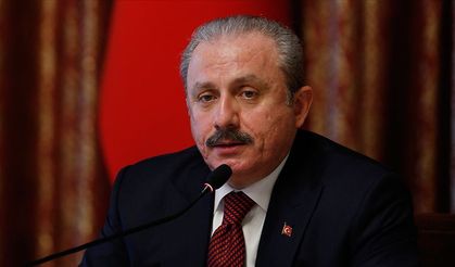 Meclis Başkanı Şentop'tan Meclis'teki kavgaya ilişkin açıklama