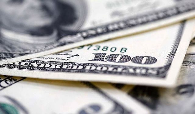 Fitch doların 53 lira olacağı tarihi açıkladı!