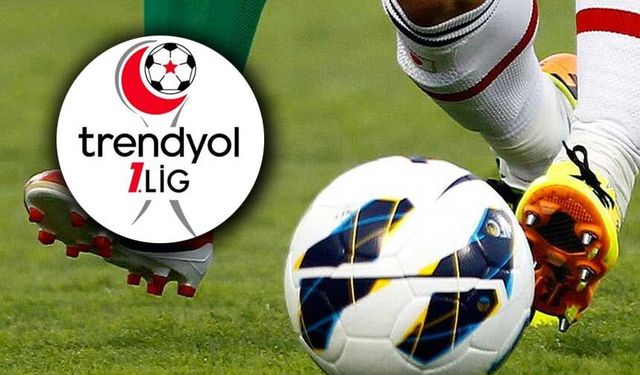 1. Lig'de yaprak dökümü! 14 haftada 12 ayrılık