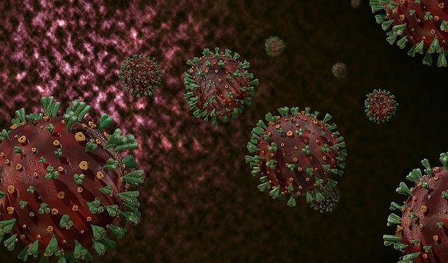 Mustasyona uğrayan H3N2 korkutuyor! DSÖ'den uyarı geldi