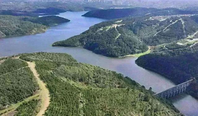 İstanbulluya iyi haber! Baraj doluluk oranları yükseldi
