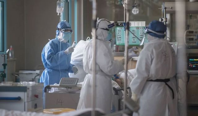 Melioidoz salgını 20 can aldı!