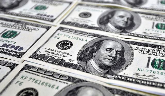 Merkez Bankası'ndan korkutan yıl sonu dolar tahmini!