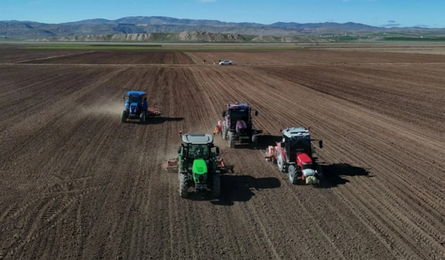 Tarım enflasyonu yüzde 46'yı aştı! İşte zam şampiyonu