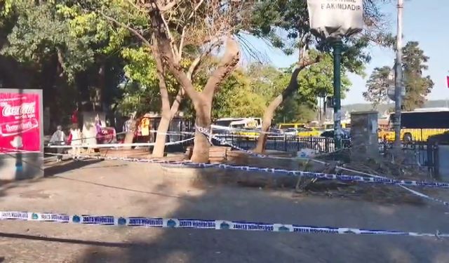 Kaldırımda yürüyen yayaların üzerine ağaç devrildi! 3 yaralı