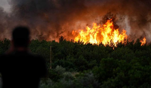 Orman yangınlarıyla ilgili ortaya atılan 'PKK' iddiasına yalanlama