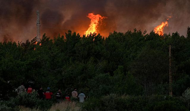 Orman yangınlarına ilişkin tutuklu sayısı 13'e yükseldi