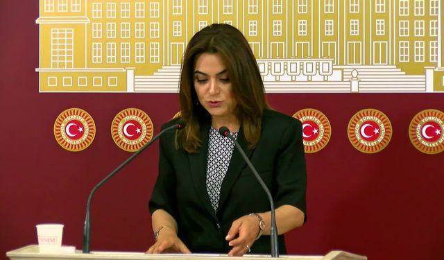 DEM Parti'nin komisyon ismi önerisinde 'demokrasi' vurgusu