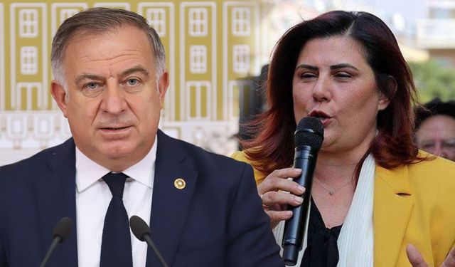 Gökhan Zeybek'ten Özlem Çerçioğlu açıklaması: İnsan içine çıkamayacak