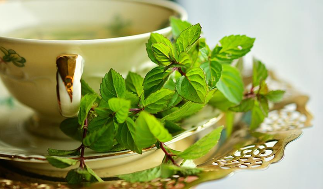 Havalar soğudu, sıklıkla tüketilmeye başladı! Uzman isim toksin riskine dikkat çekti