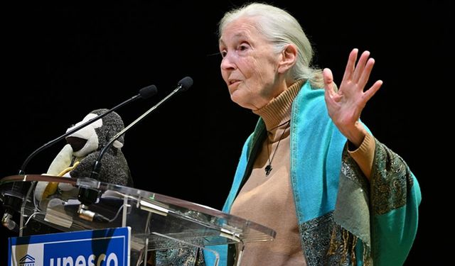 Jane Goodall'ın ölüm nedeni belli oldu