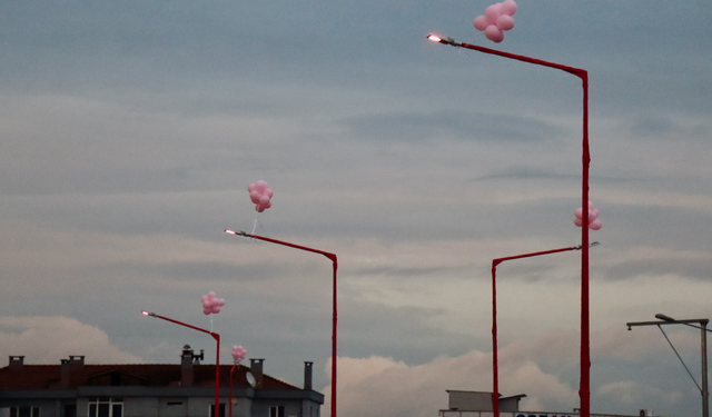 Meme kanserinde erken teşhis farkındalığı! Sokak lambaları pembe yandı