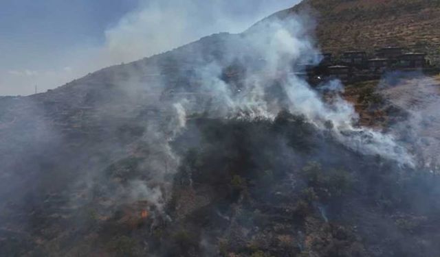 Patlıcan közlerken ormanı yaktılar