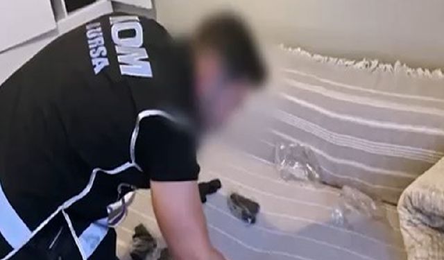 'Çirkinler' ve 'Daltonlar' suç örgütüne operasyon: 16 tutuklu