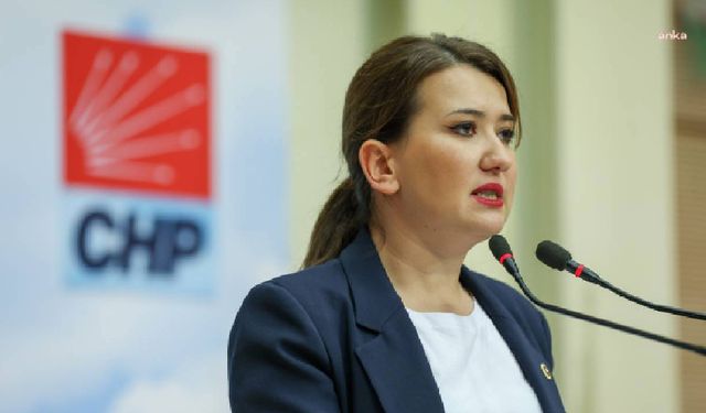 CHP'li Gökçen: Ablukaya tepki gösteren gençlere kopyala yapıştır iddianame hazırlandı