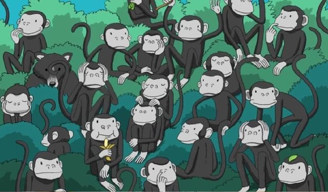 5 saniyede kamufle olmuş ayıyı bulabilir misiniz?