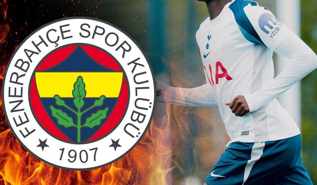 Fenerbahçe'de golcü transferinde yeni aday
