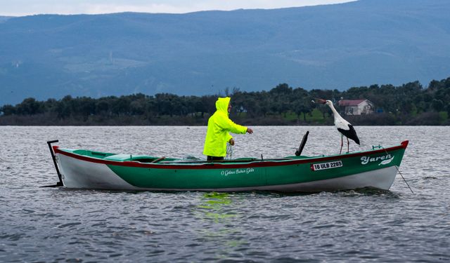 Yaren leylek 15. kez Adem Amca'nın kayığına kondu