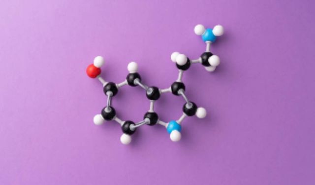 Probiyotik Nedir? Faydaları ve Doğru Kullanım Rehberi
