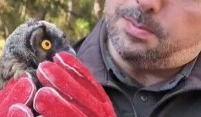 58 bin 22 yaralı yaban hayvanı tedavi edilerek doğaya salındı