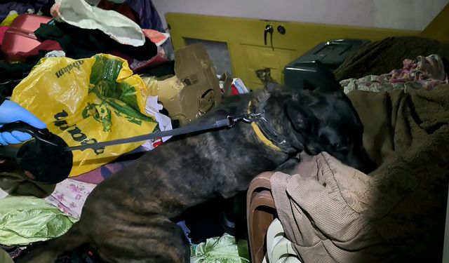 Adana'da 335 bin uyuşturucu hap ele geçirildi; 10 gözaltı