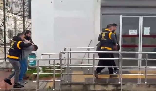 Atlara koşmadığı için şiddet uygulayan şüphelilere hayvan barınağında çalışma cezası