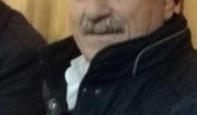 Kovana bakım yaparken boğazından arı soktu, öldü