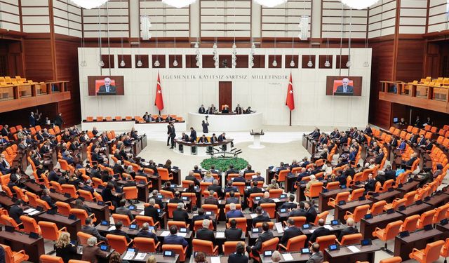 TBMM Genel Kurulu'nda, doğum izni ve sosyal medya düzenlemesi teklifinin 6 maddesi daha kabul edildi
