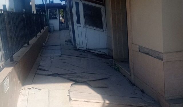 'Aktif fay sayısı yüzde 44 arttı, yeni yapılacak binalarda güncel fay verileri dikkate alınmalı'