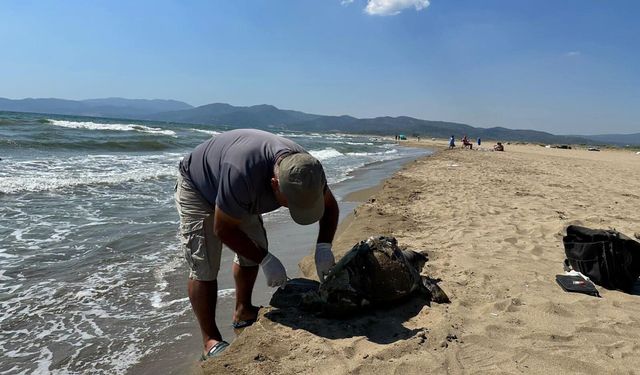 İzmir'de yüzgecine parke taşı bağlanmış ölü deniz kaplumbağası kıyıya vurdu