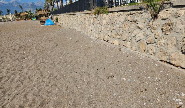 'Sahillerde sigara içmek yasaklansın' çağrısı