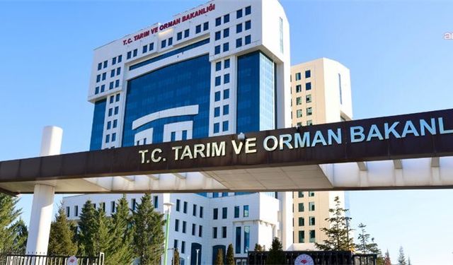 Tarım Orman Bakanlığından "çekirge istilası" haberlerine ilişkin açıklama