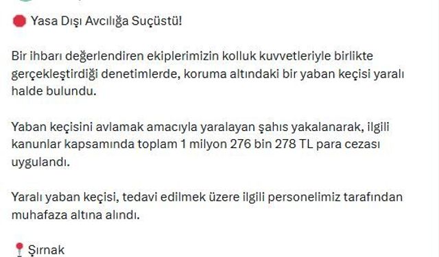 Koruma altındaki yaban keçisini yaralayan avcıya 1,2 milyon lira ceza