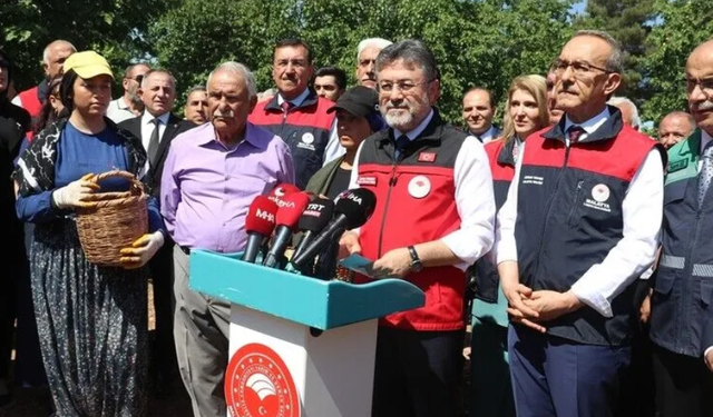 Tarım ve Orman Bakanı Yumaklı, Malatya'da kayısı hasadına katıldı: