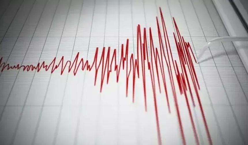 Japonya'da 6,2 büyüklüğünde deprem