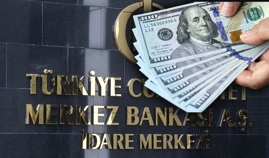 Merkez Bankası: Sahte dolarlar elimize ulaştı