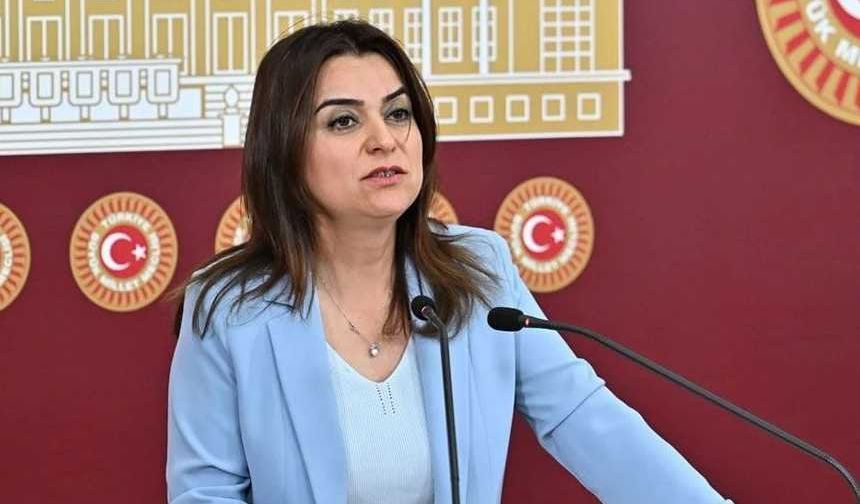 DEM Partili Koçyiğit'ten 'çözüm süreci' açıklaması: Hiçbir veri yok