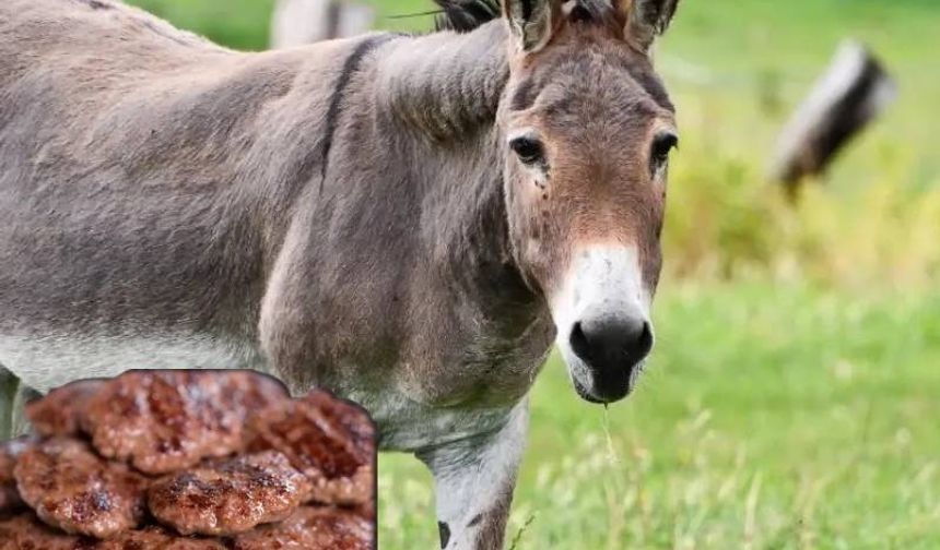 Hamburger köftesinde eşek eti kullanan firmanın adı belli oldu