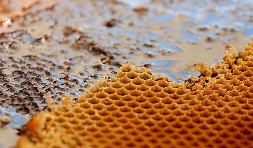 İşte, 18 Aralık'ta 'Taklit veya Tağşiş Yapılan Gıdalar' listesine eklenen bal markaları...
