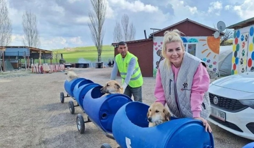 Köpek velisi tutuklandı!