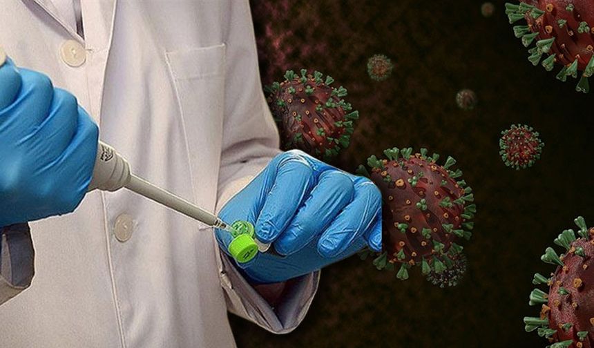 Oxytocin Peptide: A multifaceted molecule with expansive research potential