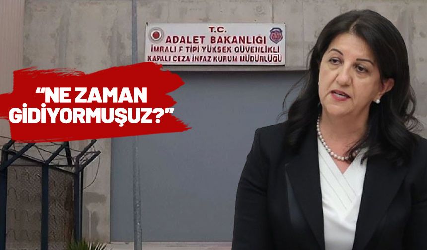 Pervin Buldan'dan İmralı ziyareti sorusuna yanıt