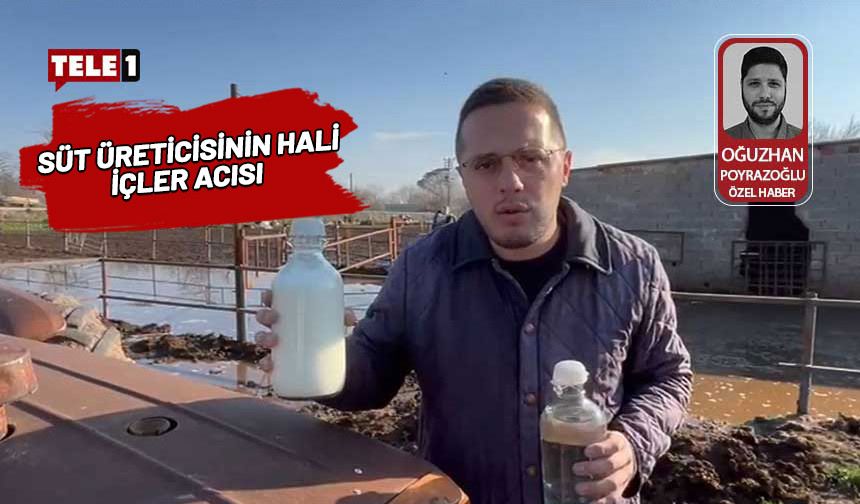 Besiciler isyanda! Süt üreticilerinin neden zarar ettiğini teker teker anlattı