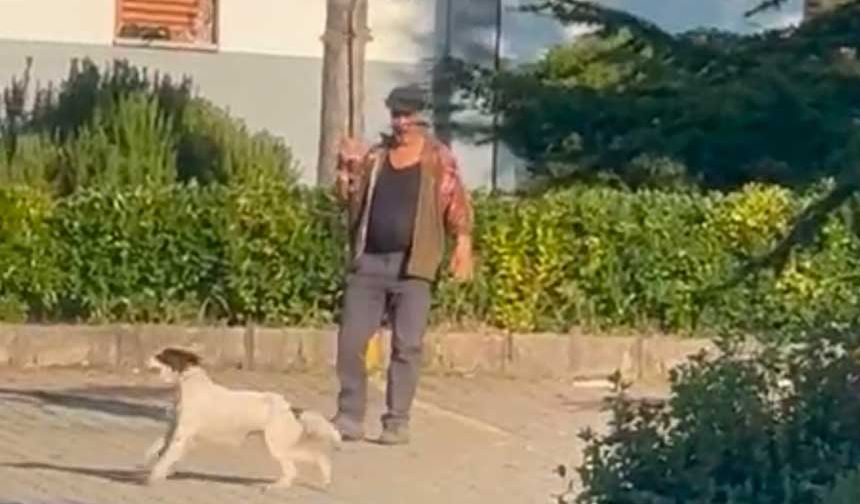 İnsan kılığındaki cani! Canlı güvercini köpeğine yem yaptı