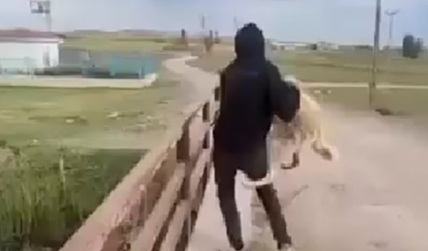 Köpeği köprüden atan caniler yakalandı!