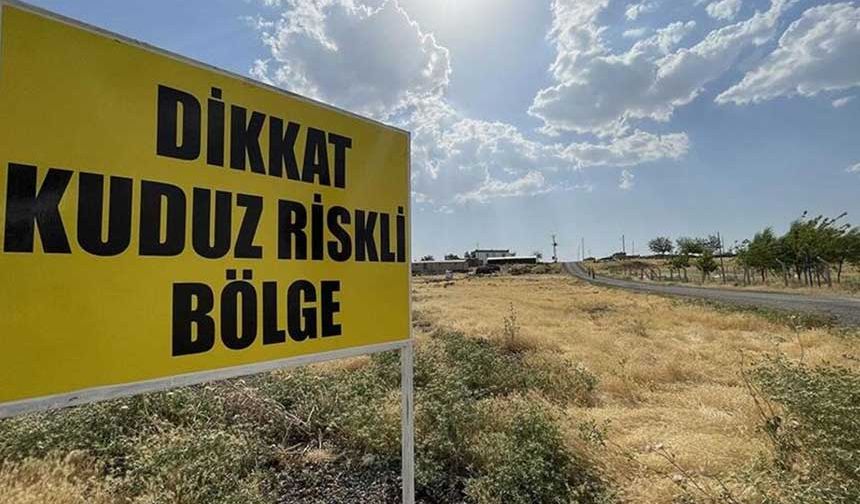 Hatay'da 4 mahalleye kuduz karantinası